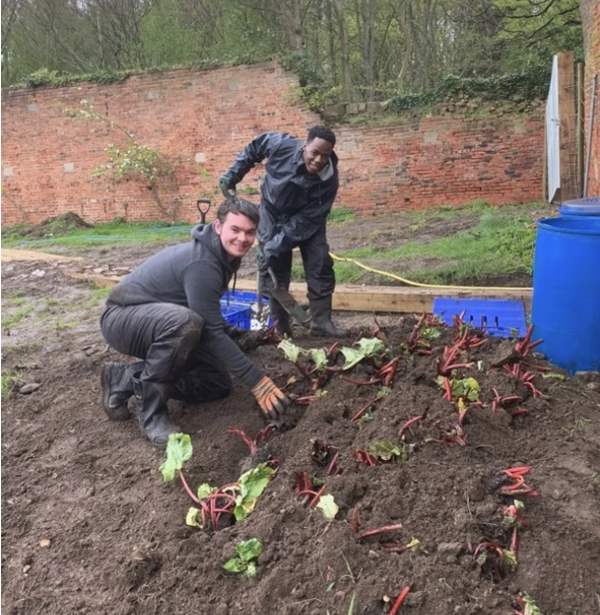 People working together in the community garden