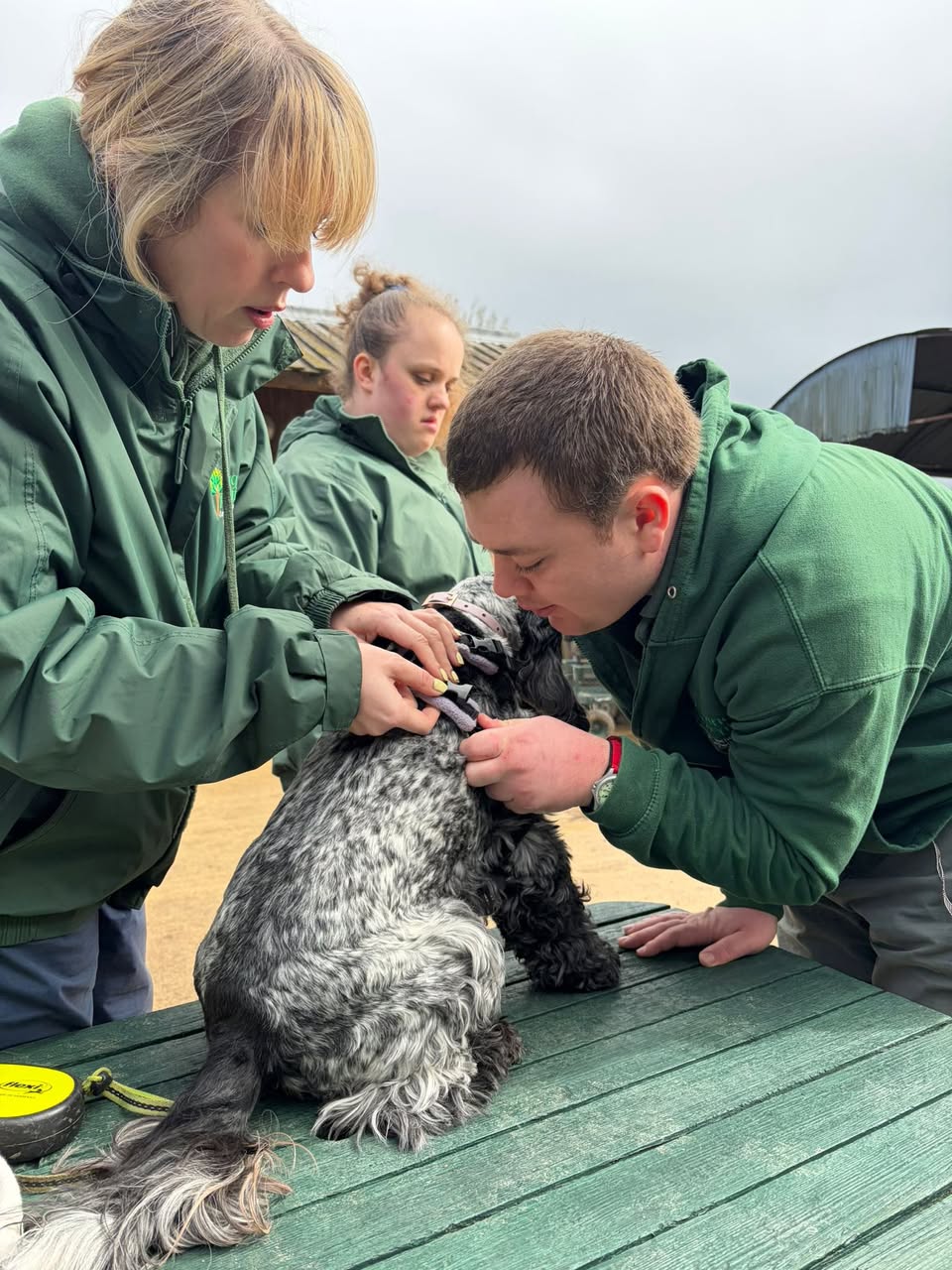 Participants checking a dog during a supervised care activity